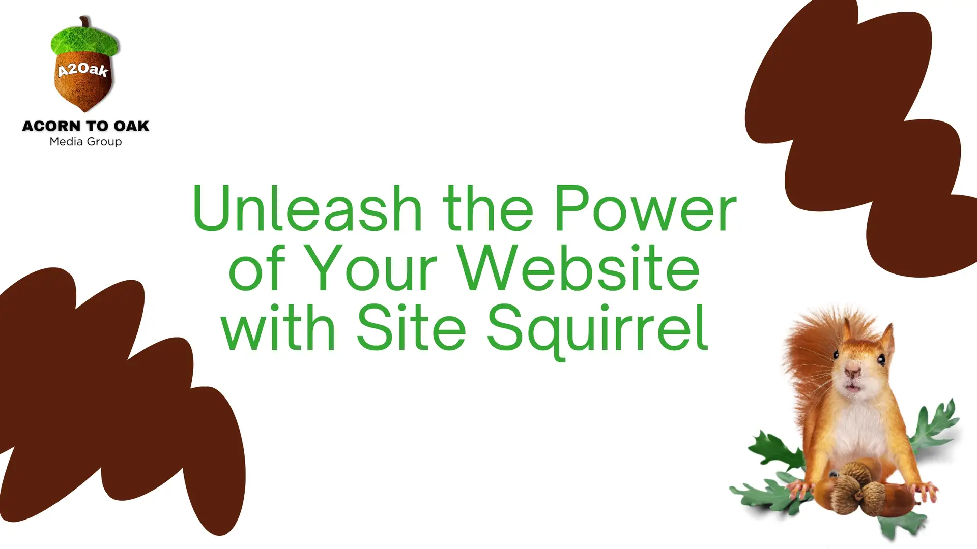 Unleash the Power of Your Website with Site Squirrel