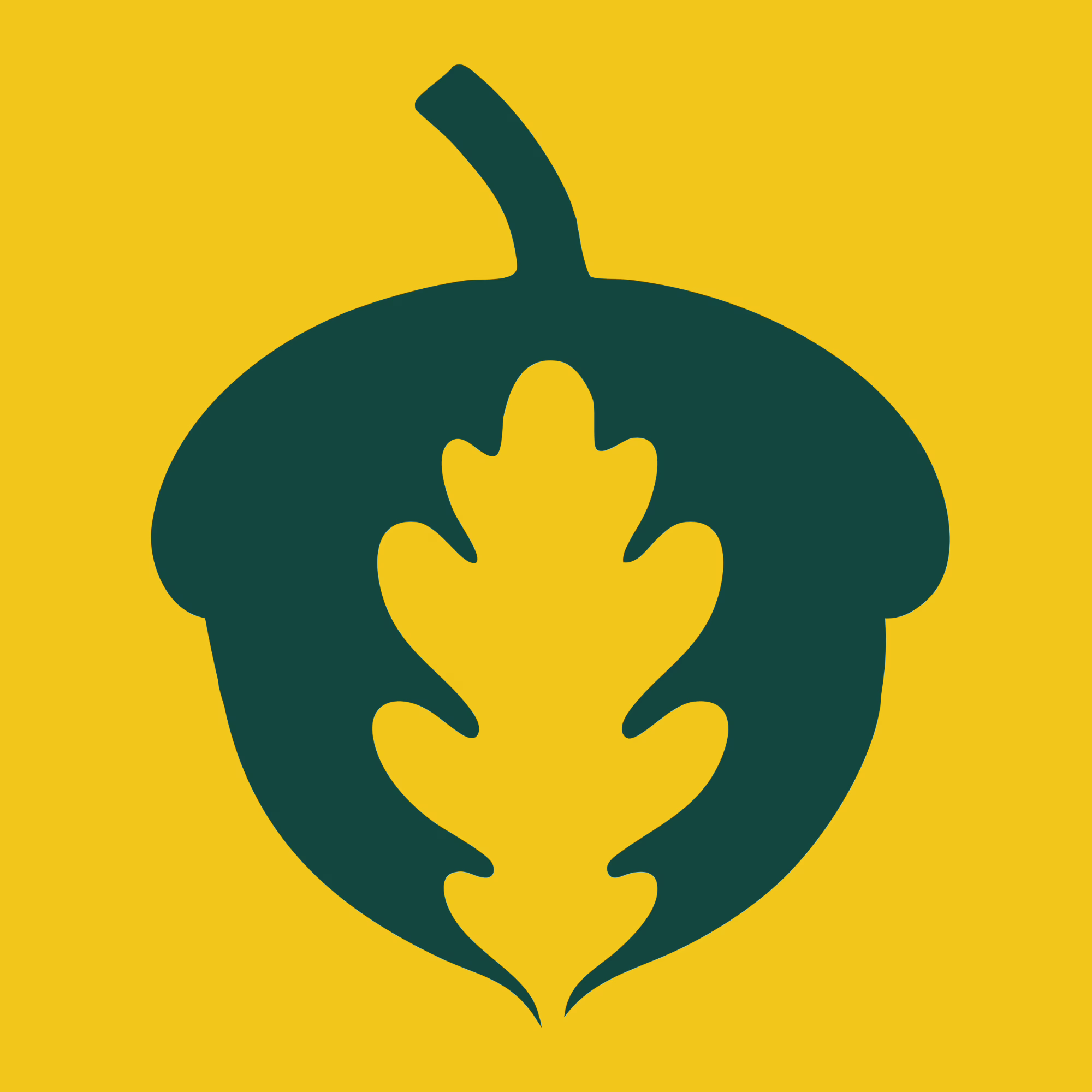 The Acorn To Oak acorn and oak leaf mark