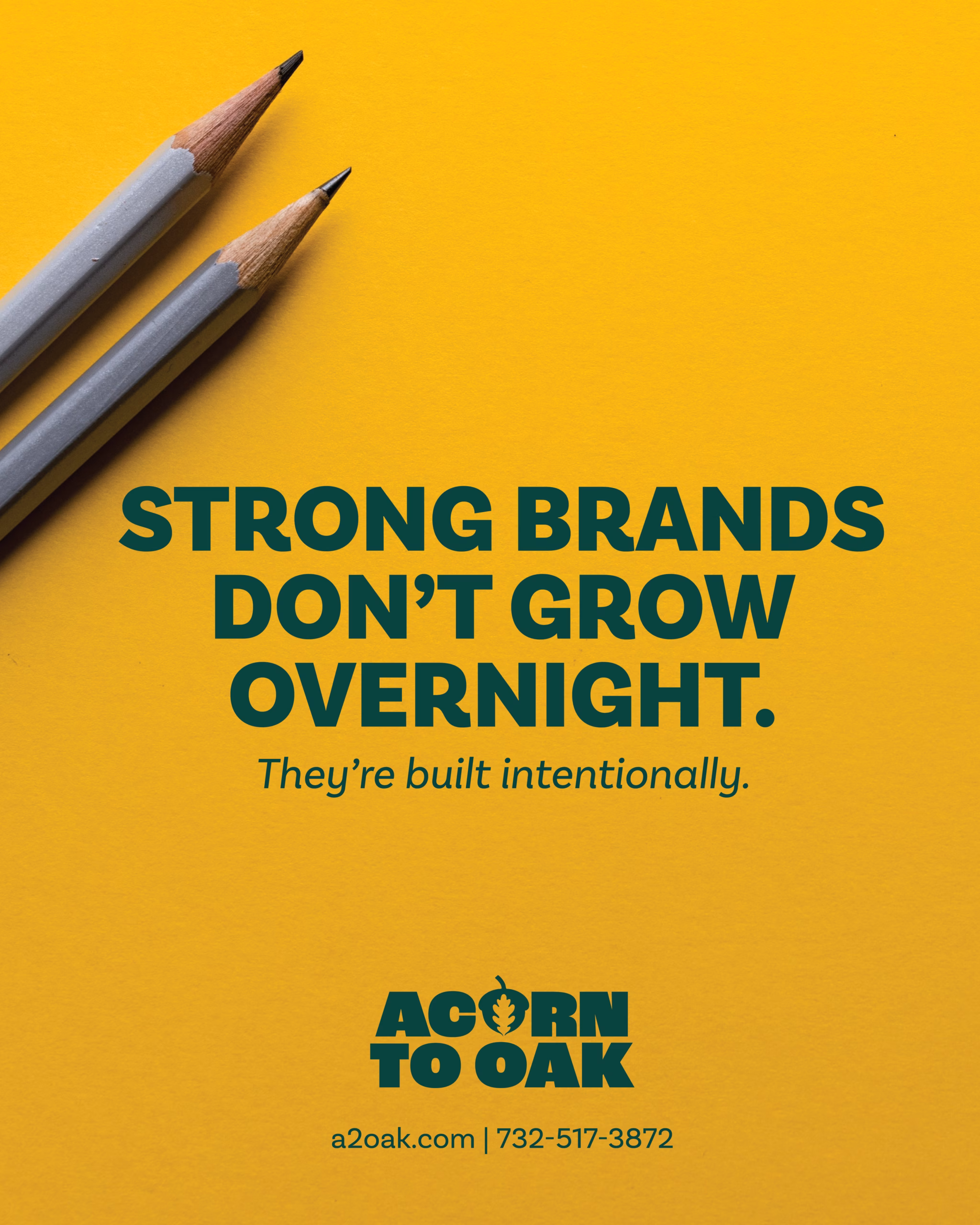 Acorn To Oak ad: Strong brands don't grow overnight. They're built intentionally.