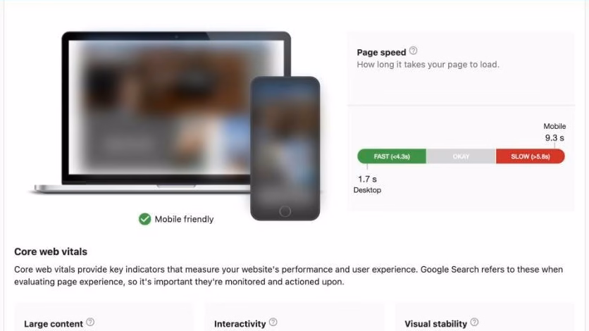 Sample audit report website performance section